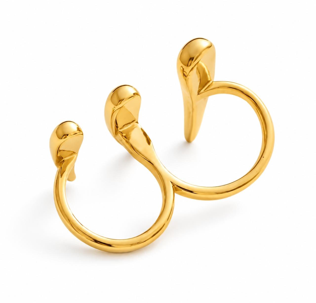Anillo Duna - Imagen 2