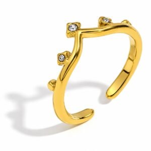 Anillo Constelación